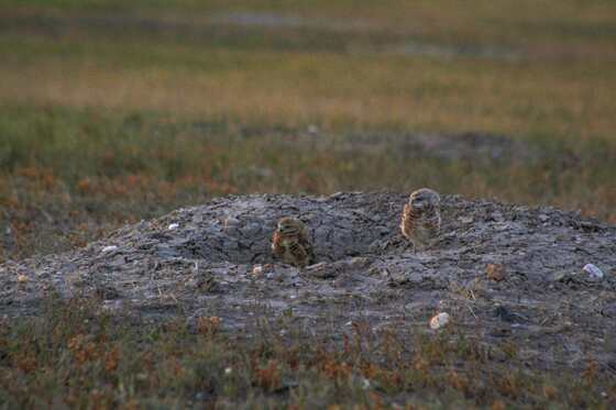 Badlands National Park