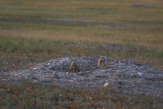 Badlands National Park