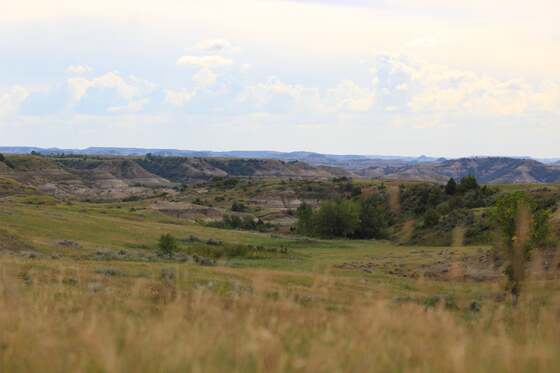 Theodore Roosevelt National Park