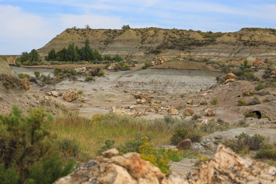 Theodore Roosevelt National Park