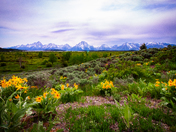 Grand Teton National Park
