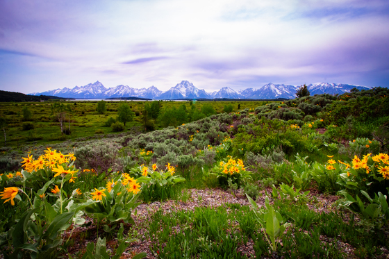 Grand Teton National Park