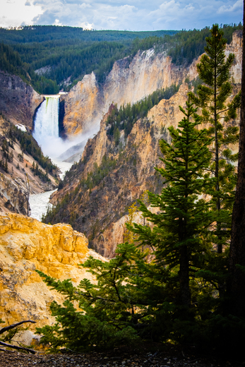 Yellowstone National Park