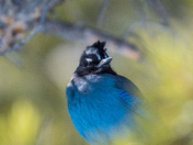 Rocky Mountain National Park