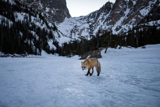 Rocky Mountain National Park