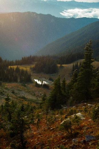 Olympic National Park 