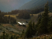 Olympic National Park 