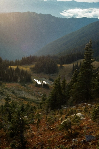 Olympic National Park 