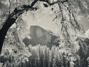 Yosemite National Park