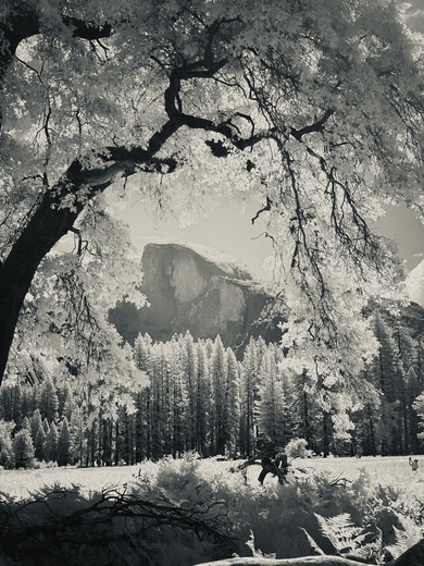 Yosemite National Park