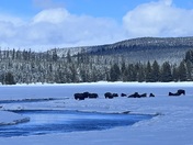 Yellowstone National Park
