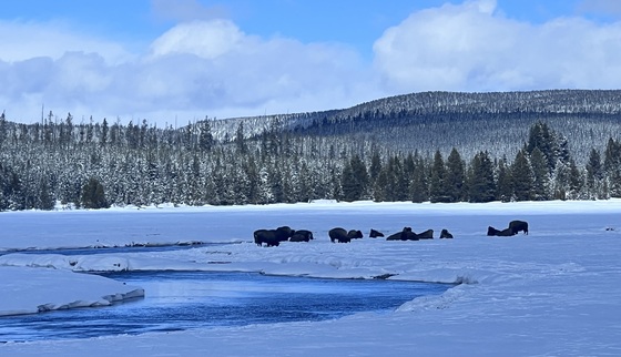 Yellowstone National Park