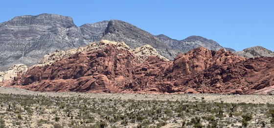 Red Rock Canyon National Conservation Area