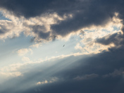 Breakthrough of beauty