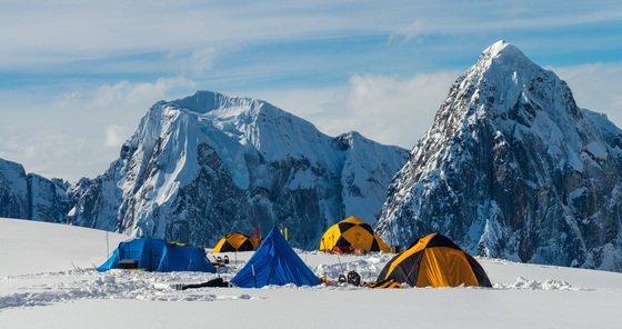 Denali National Park