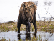 Grand Teton National Park
