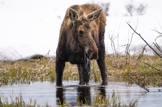 Grand Teton National Park