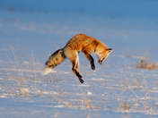 Grand Teton National Park