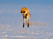 Grand Teton National Park