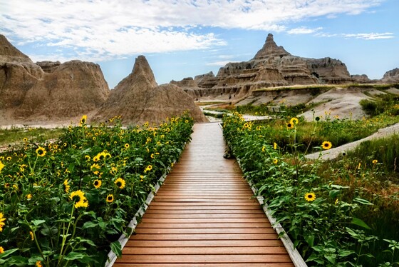 Badlands National Park
