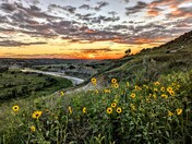 Theodore Roosevelt National Park