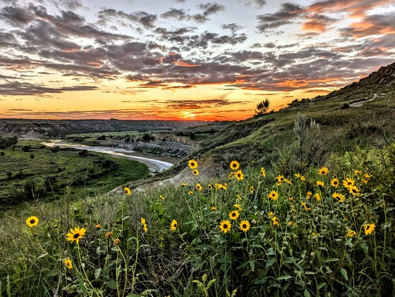Theodore Roosevelt National Park