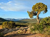 Grand Canyon of the Gunnison National Park