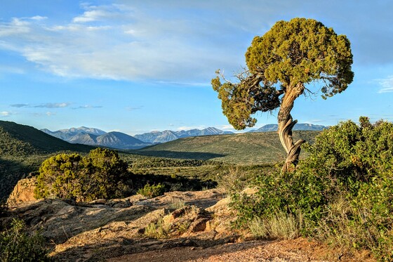 Grand Canyon of the Gunnison National Park