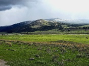 Yellowstone National Park