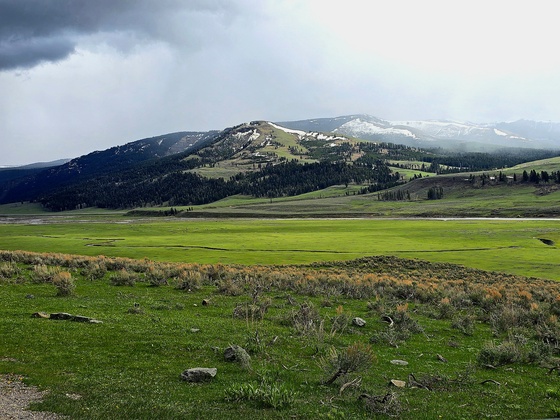 Yellowstone National Park