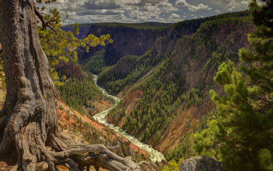 Yellowstone National Park
