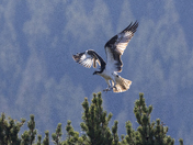 Grand Teton National Park