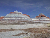 Petrified Forest National Park