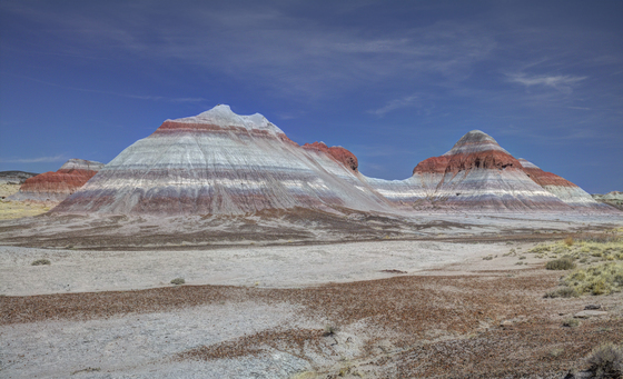 Petrified Forest National Park