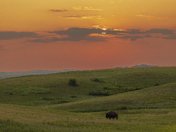 Theodore Roosevelt National Park