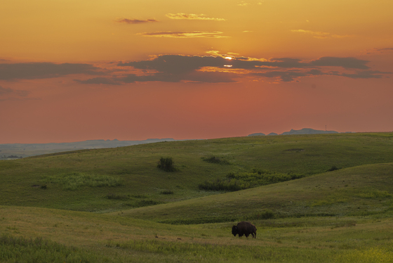 Theodore Roosevelt National Park