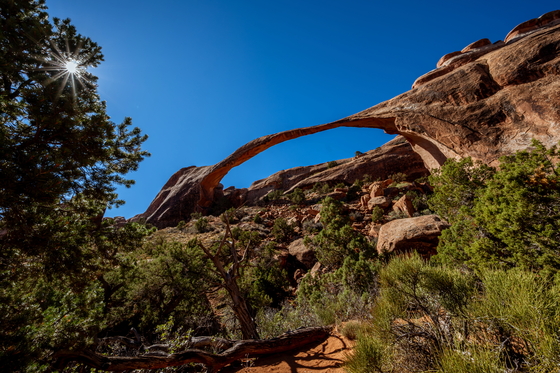 Arches National Park
