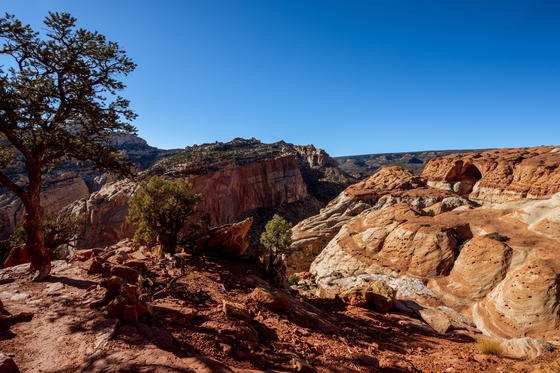 Capitol Reef National Park