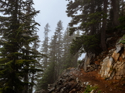 North Cascades National Park