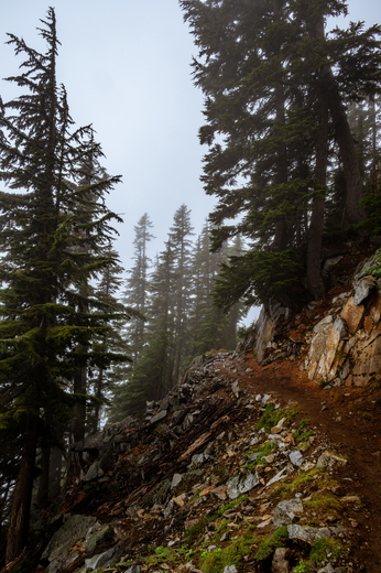 North Cascades National Park