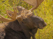 Grand Teton National Park