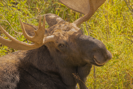 Grand Teton National Park