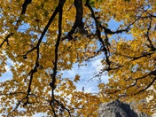 North Cascades National Park