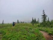 Three Sisters Wilderness