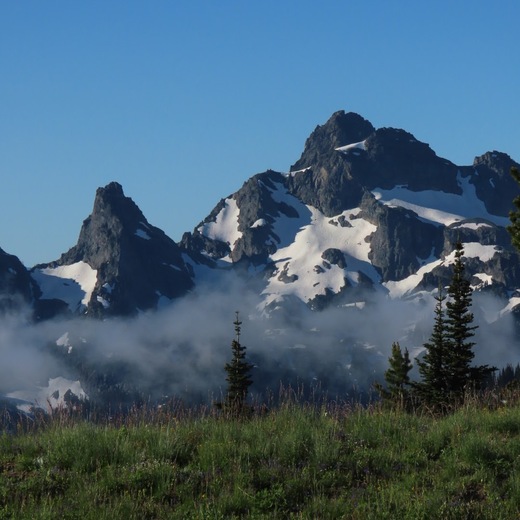 Mount Ranier National Park