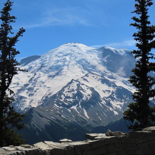 Mount Ranier National Park