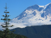 Mount Rainier National Park