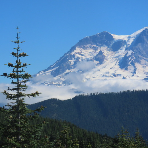Mount Rainier National Park