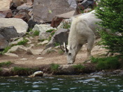North Cascades National Park