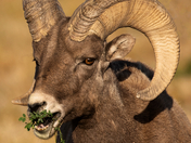 Badlands National Park